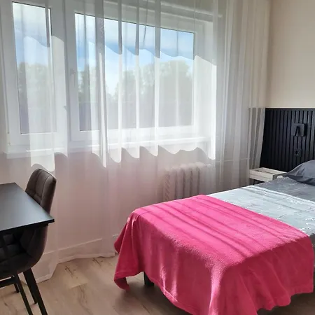 Apartment Raepina Apartment