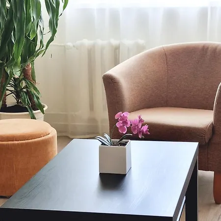 Raepina Apartment Appartement