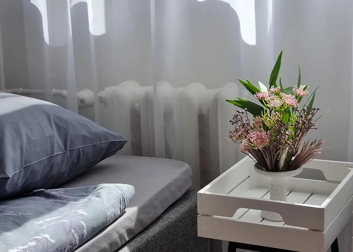 Apartment Raepina Apartment Rapina