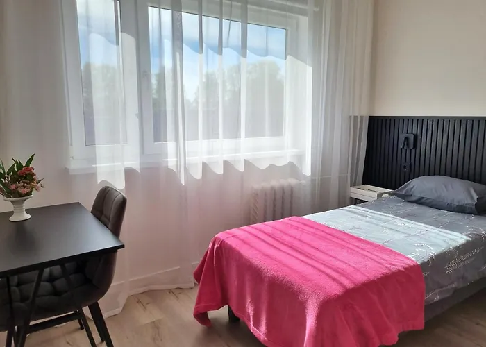 Apartment Raepina Apartment